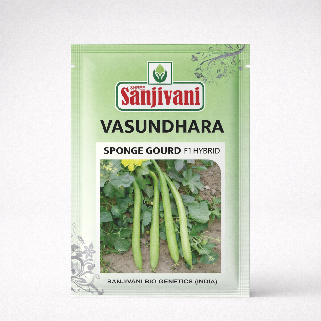 Vasundhara Hybrid Sponge Gourd Seeds (Gilki) | 10 gm pack